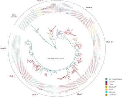 Comprehensive phylogeographic and phylodynamic analyses of global Senecavirus A